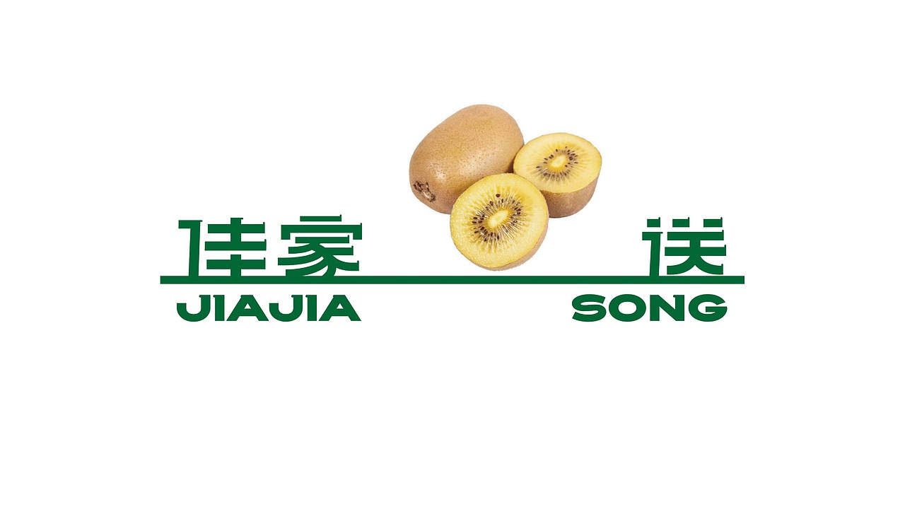 深圳佳家送果链品牌全案设计（图ZMzAwOTE0MDAw） - 品牌 - 站酷设计师广州维思计设原创素材 - 站酷ZCOOL