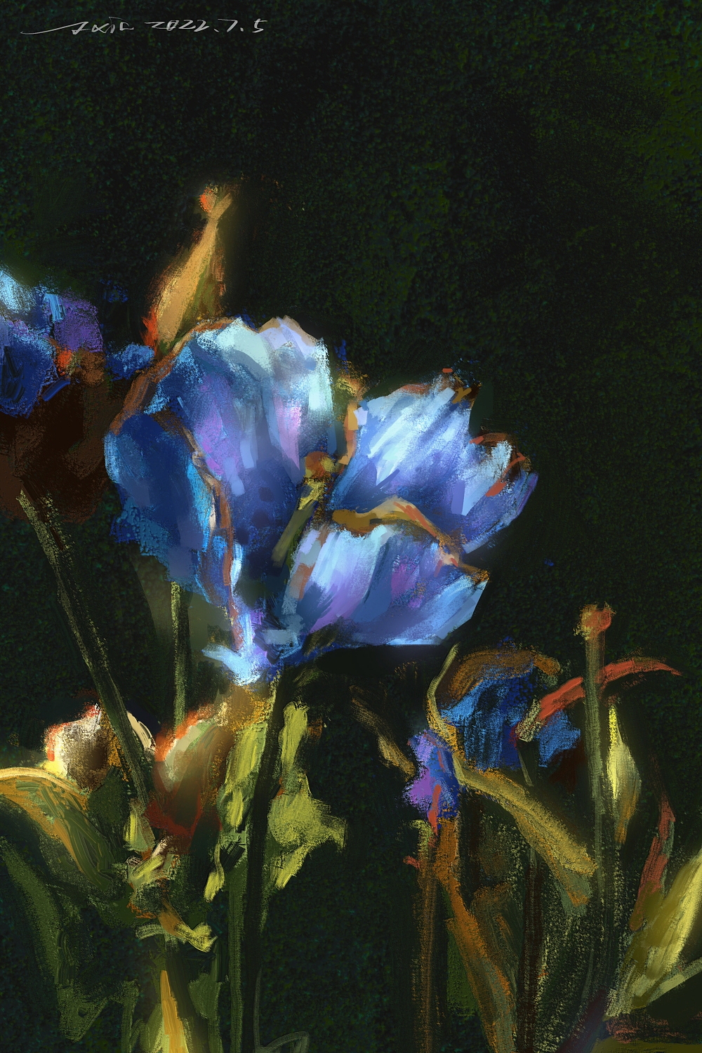 日涂打卡练习(6月7月合集)