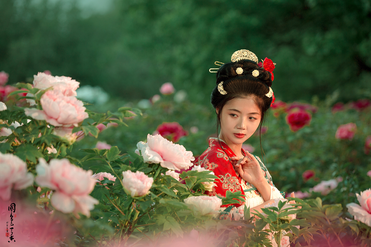 唯有牡丹真国色