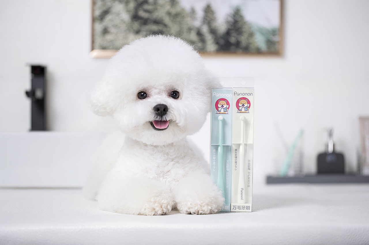 宠物牙膏牙刷拍摄丨宠物产品拍摄丨宠物用品摄影