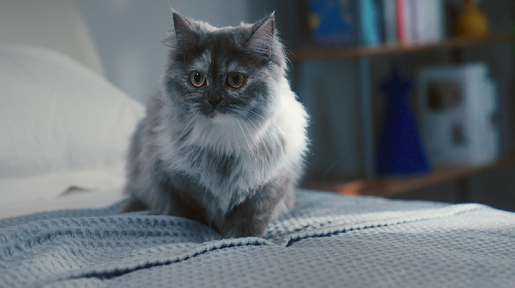 M.sky 亚马逊GRT华夫毯产品视频（图ZMzM1OTkwNDQ4） - 宣传片 - 站酷设计师杭州天空之镜原创素材 - 站酷ZCOOL