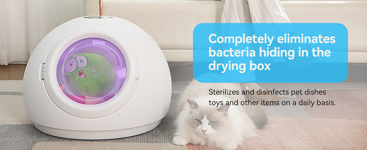 电器产品摄影宠物吹毛机主图视频拍摄亚马逊详情设计产