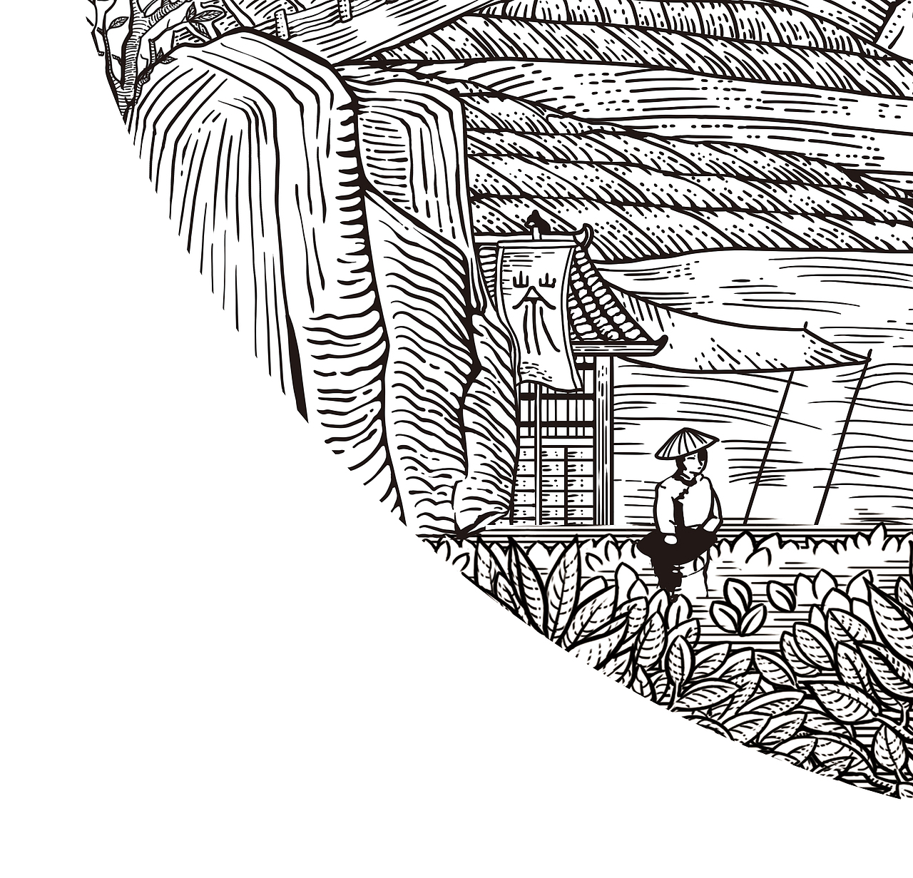 版画绘画（图ZMzEwMDU4MzI0） - 商业插画 - 站酷设计师戴冠豪一包装设计原创素材 - 站酷ZCOOL