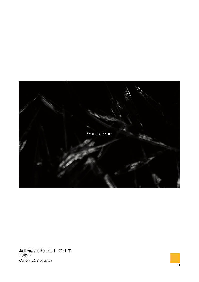 近2年选录作品集