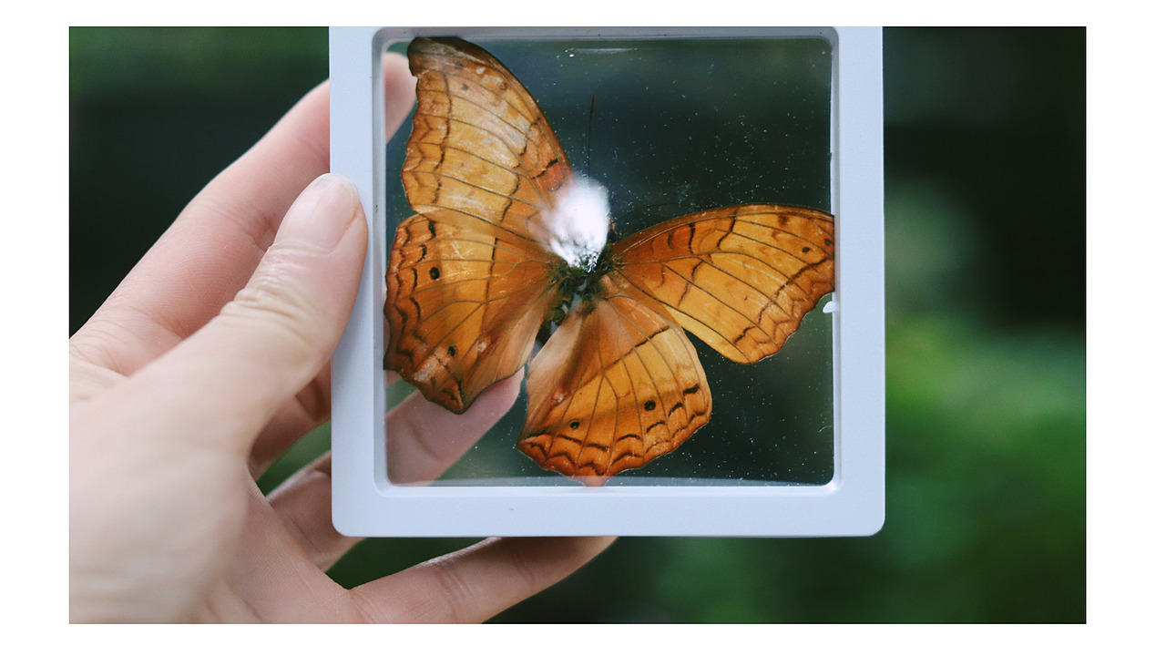 2024年上半年我所看到并记录下来的一些美妙时刻