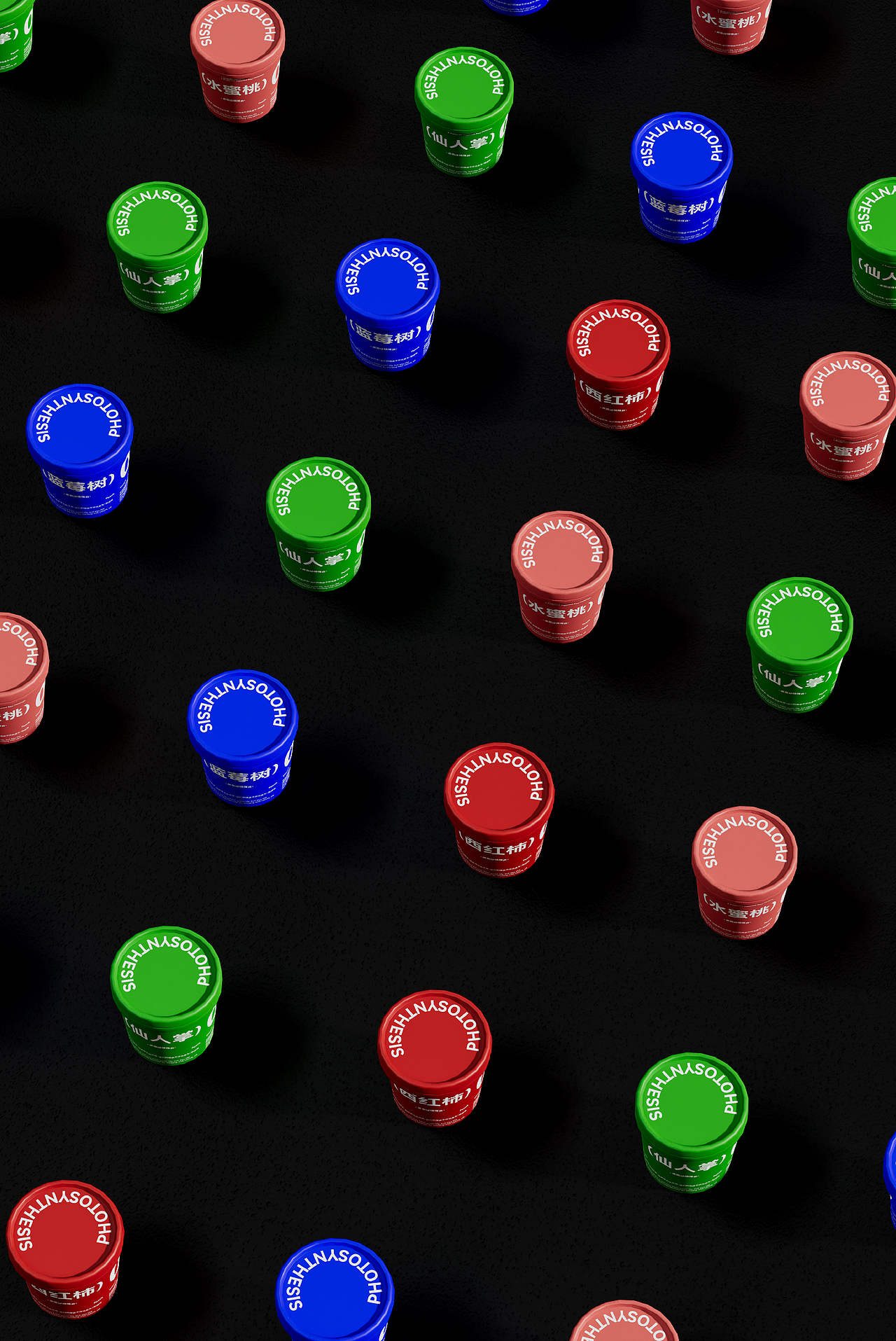 光合作用 | 桌面绿植包装 | 一家贩卖希望的商店