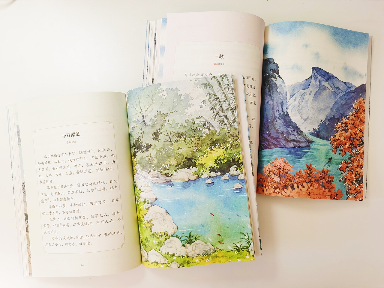 《古诗文中的科学》水彩插画配图(4)