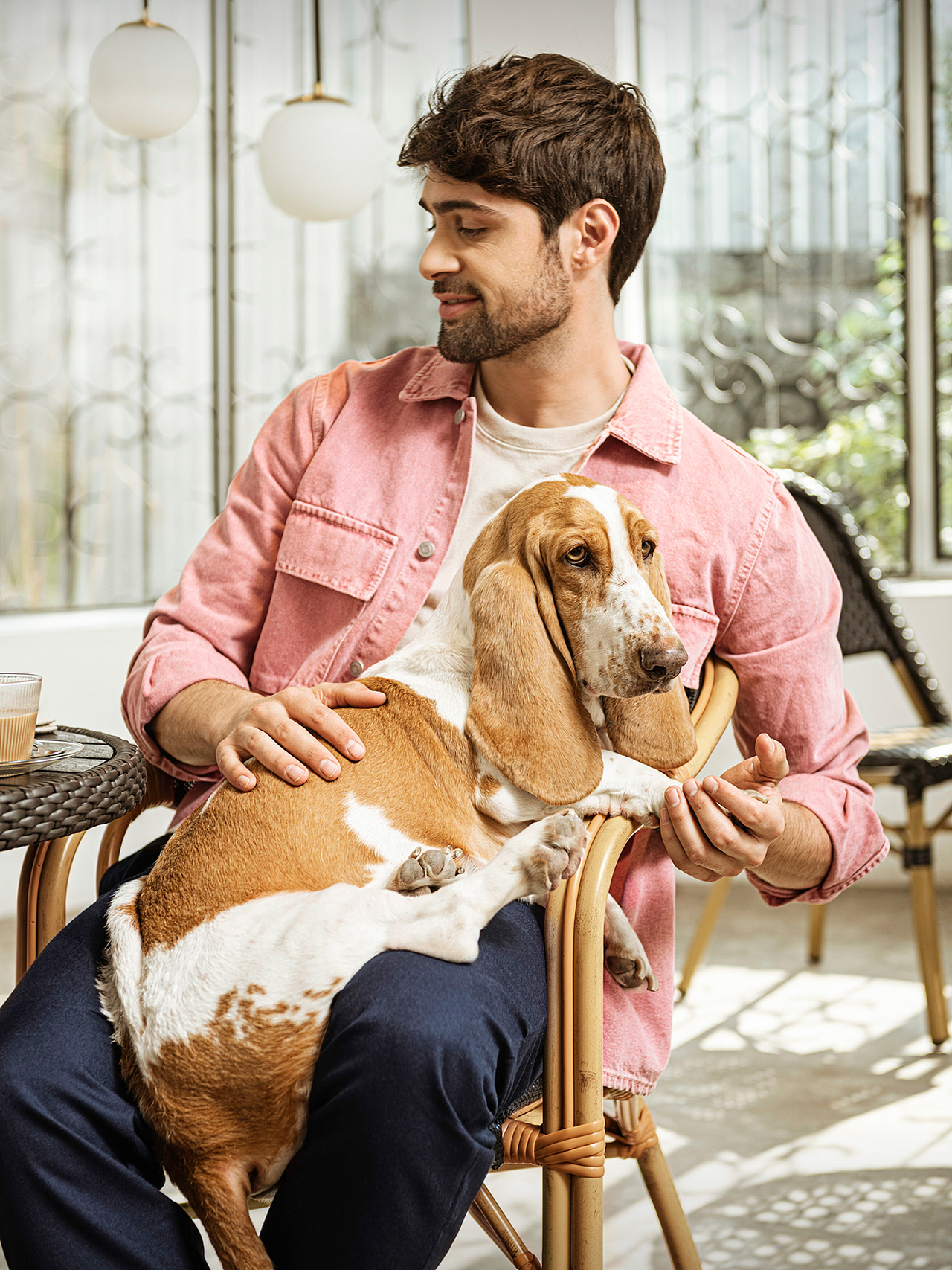 宠物广告kv拍摄,平面全案