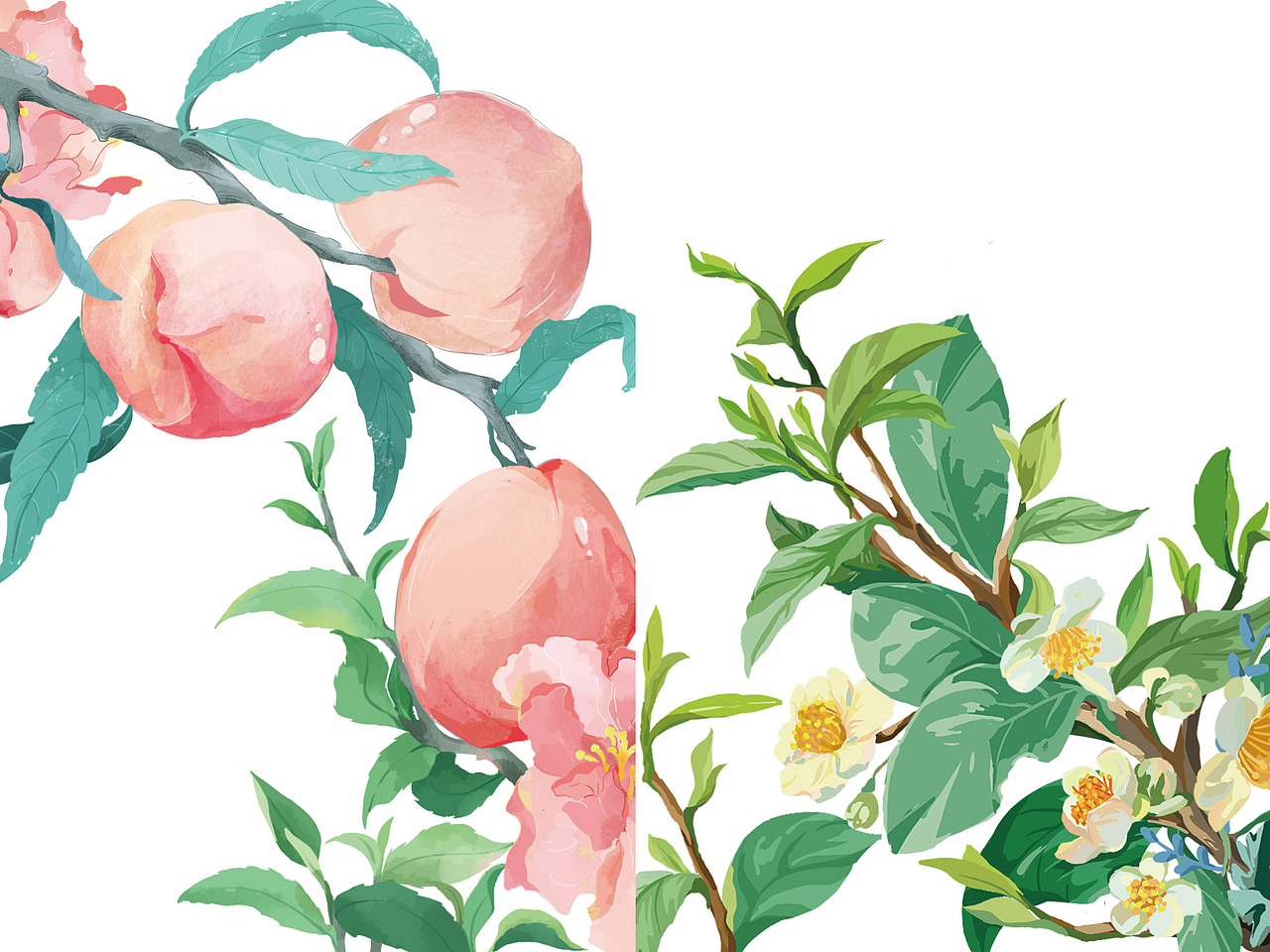 水果茶系列插画