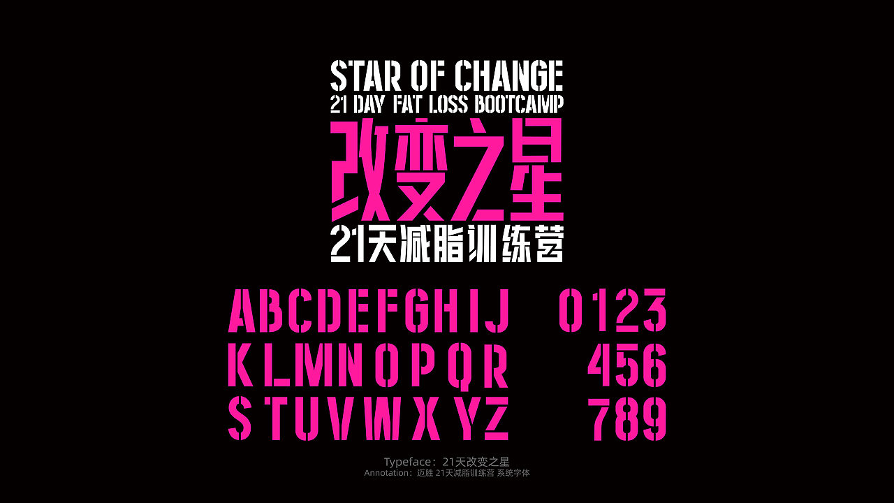 字体设计合集 vol.8