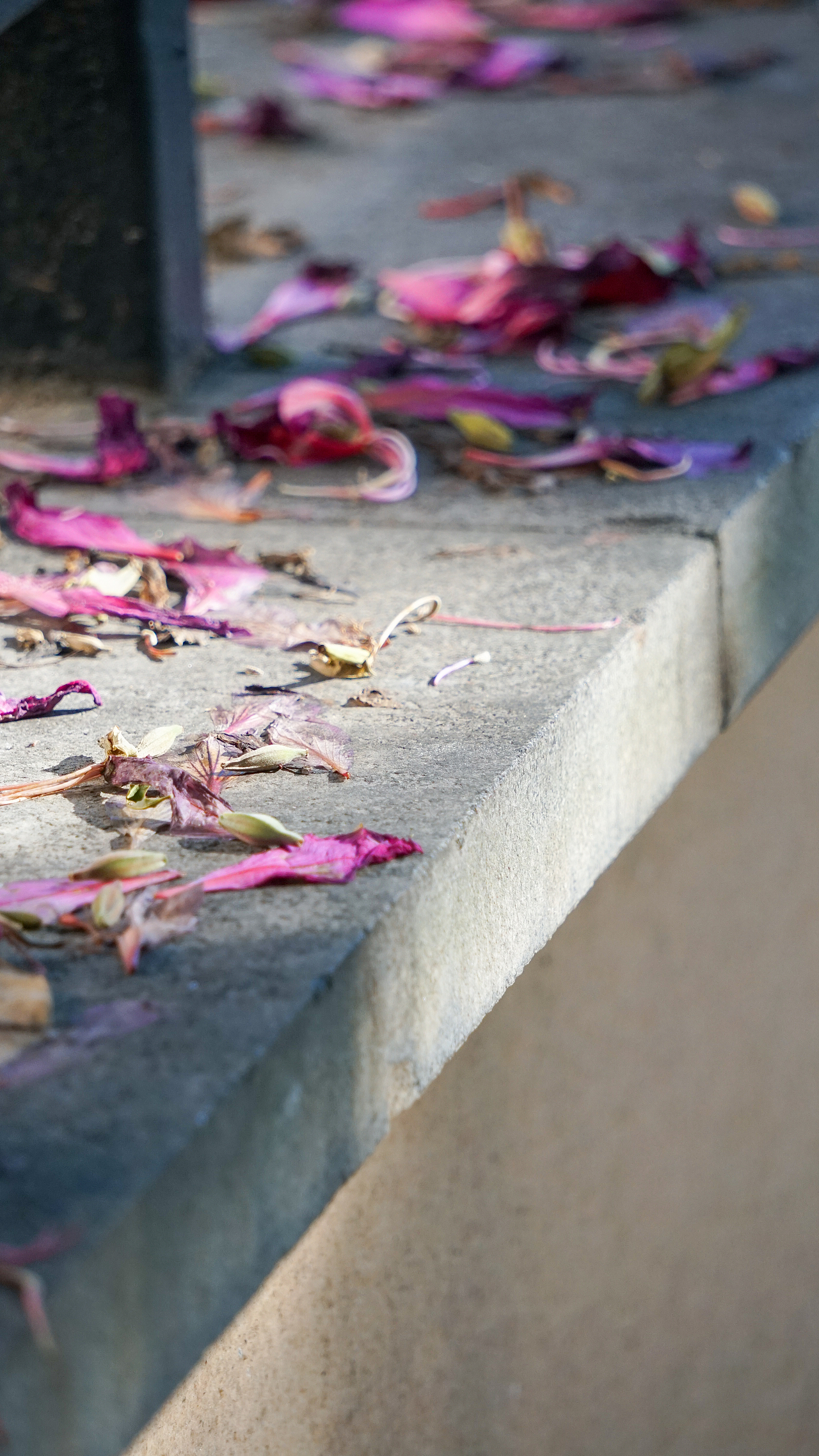 福州扫街221218（图ZMzI1ODA0MjA4） - 人文/纪实摄影 - 站酷设计师炭烤旺旺原创素材 - 站酷ZCOOL