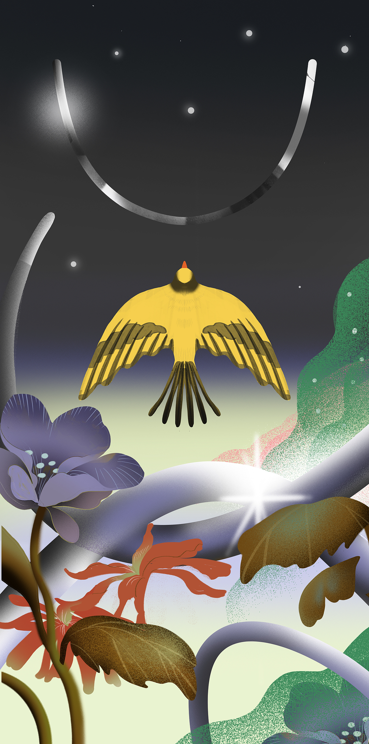 Atelier Intimo合金钢圈主题KV
