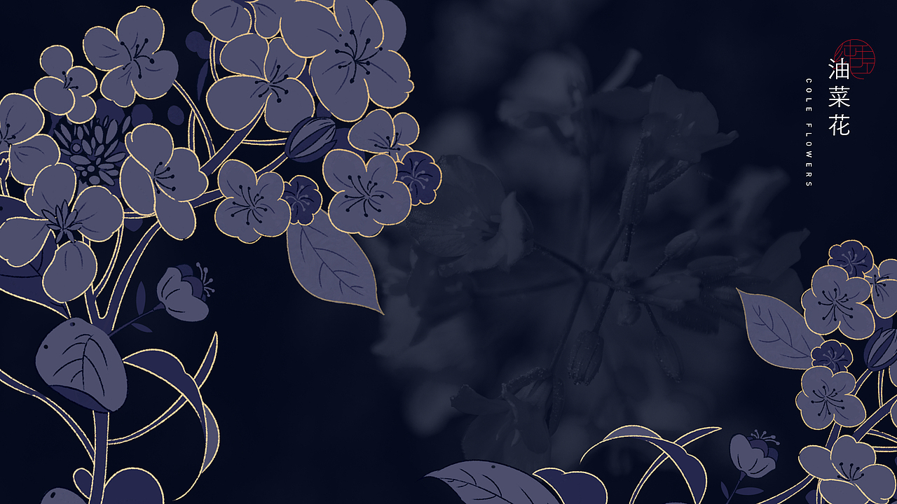 一线天包装设计