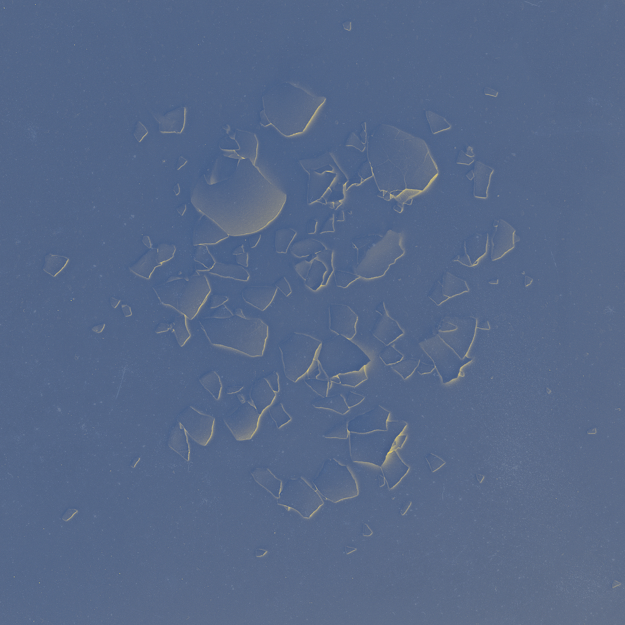 海龟先生「死不回头」