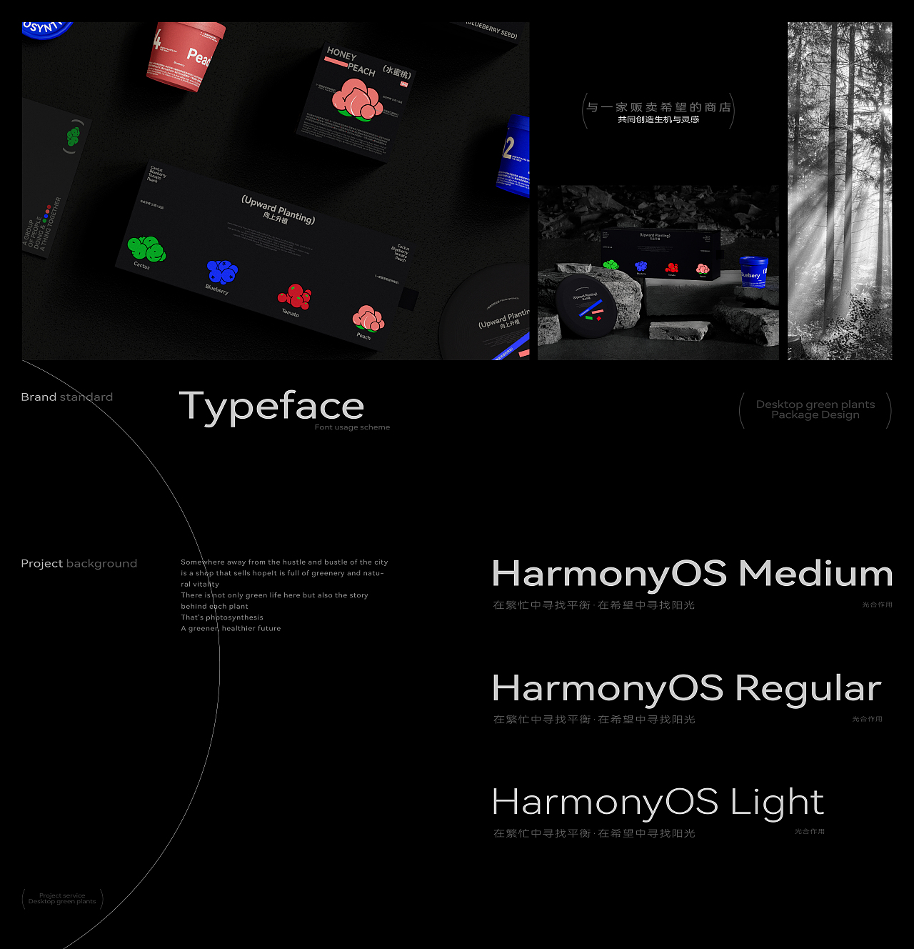 光合作用 | 桌面绿植包装 | 一家贩卖希望的商店