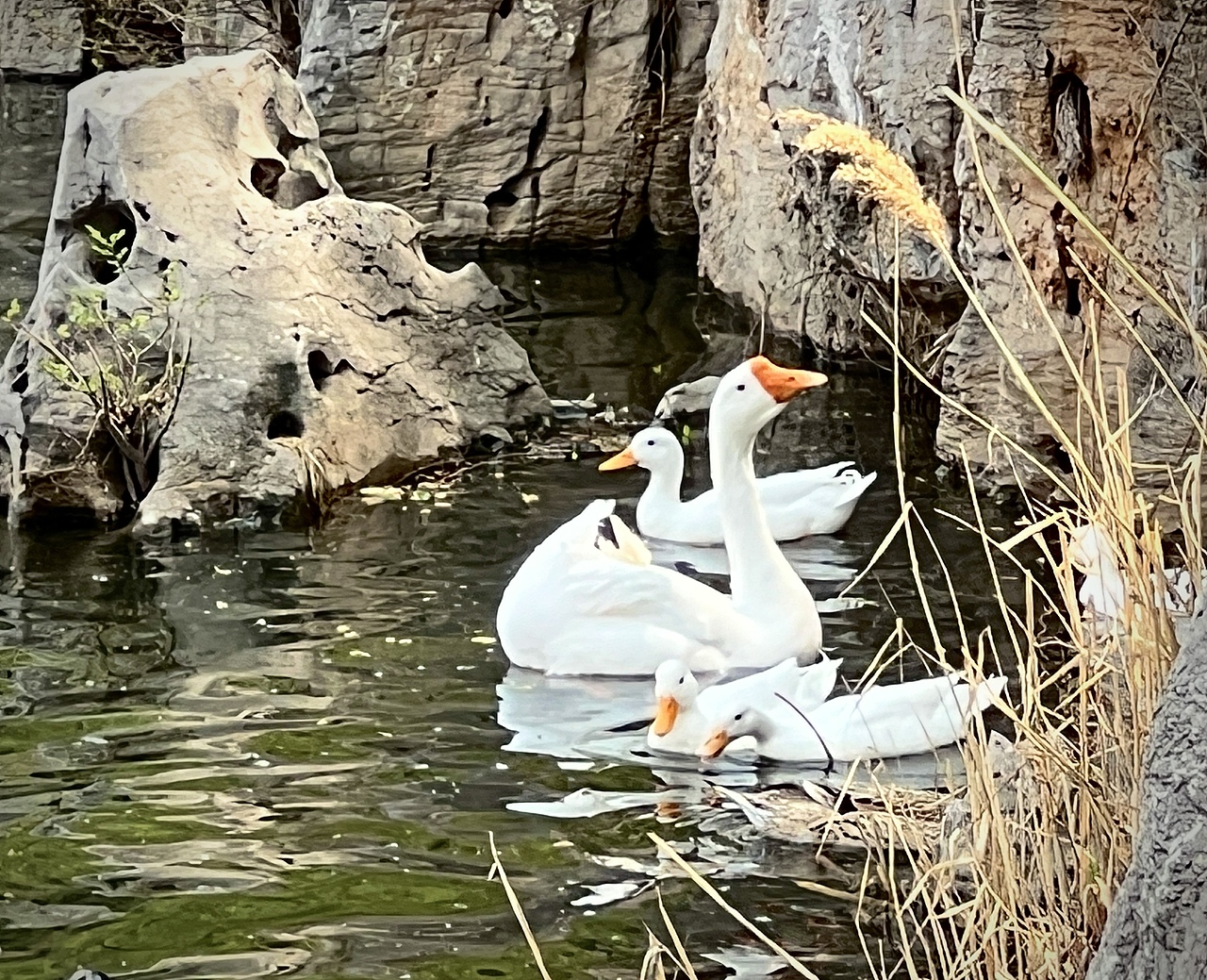 雕塑，隨拍。（圖ZMzUyOTU5Nzg0） - 人文/紀實攝影 - 站酷設(shè)計師章魚灰原創(chuàng)素材 - 站酷ZCOOL