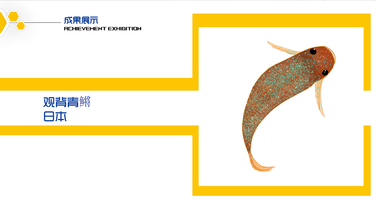 鱼·趣| 感受养鱼的乐趣~