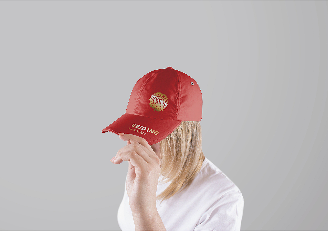 DODE CASE ｜北鼎教育品牌形象设计升级