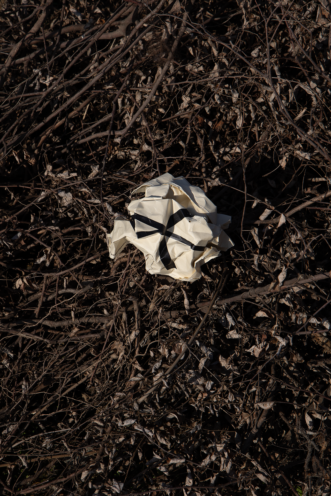 有趣有盒子·纸现场方块计划