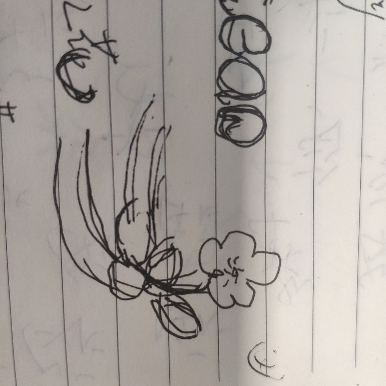 字体练习 | 送你一朵小红花（图ZMzAzMzEzMTQ0） - 字体/字形 - 站酷设计师913278047原创素材 - 站酷ZCOOL