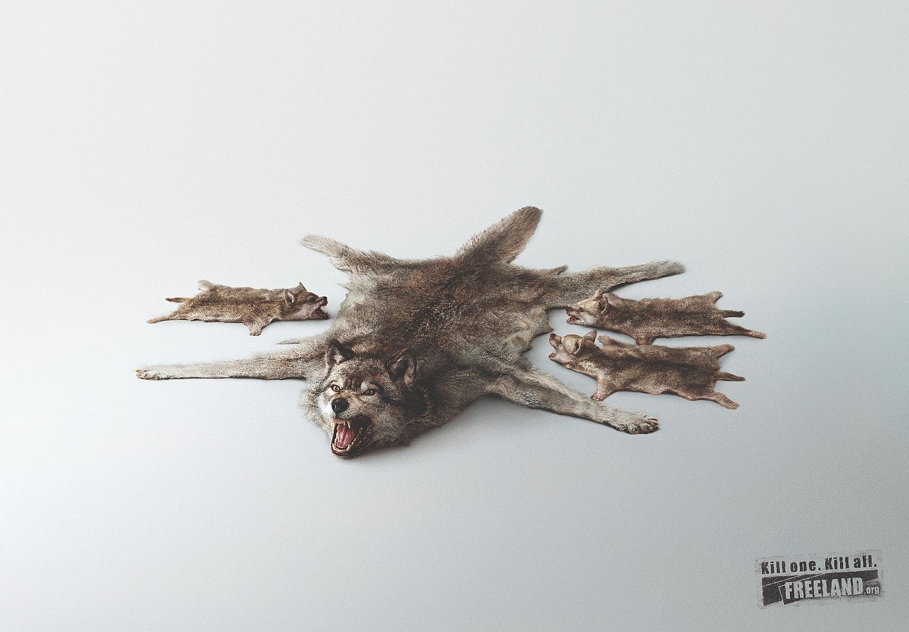 纽约广告节公益广告专辑——环境与资源篇（图ZMzY5Mzg3ODAw） - 其他平面 - 站酷设计师纽约国际广告节原创素材 - 站酷ZCOOL