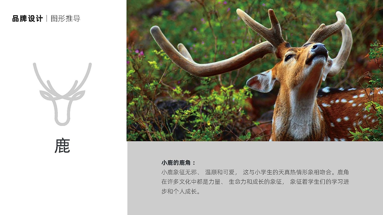 晋陵小学品牌及校园文化建设设计（图ZMzYwNTI4MjQ4） - 品牌 - 站酷设计师唐赟原创素材 - 站酷ZCOOL
