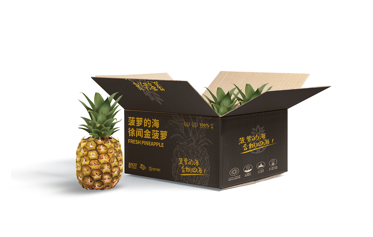正本设计|菠萝的海 产品包装设计