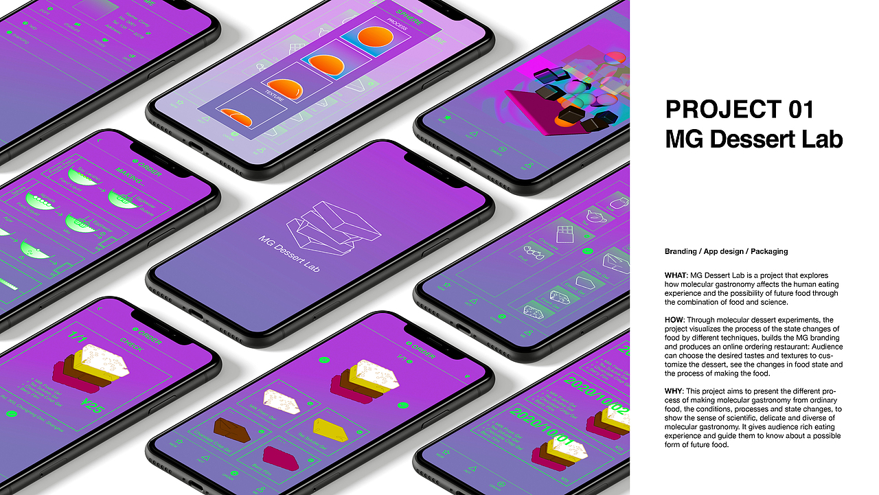 个人项目×4(英文/完整版)2019-2020