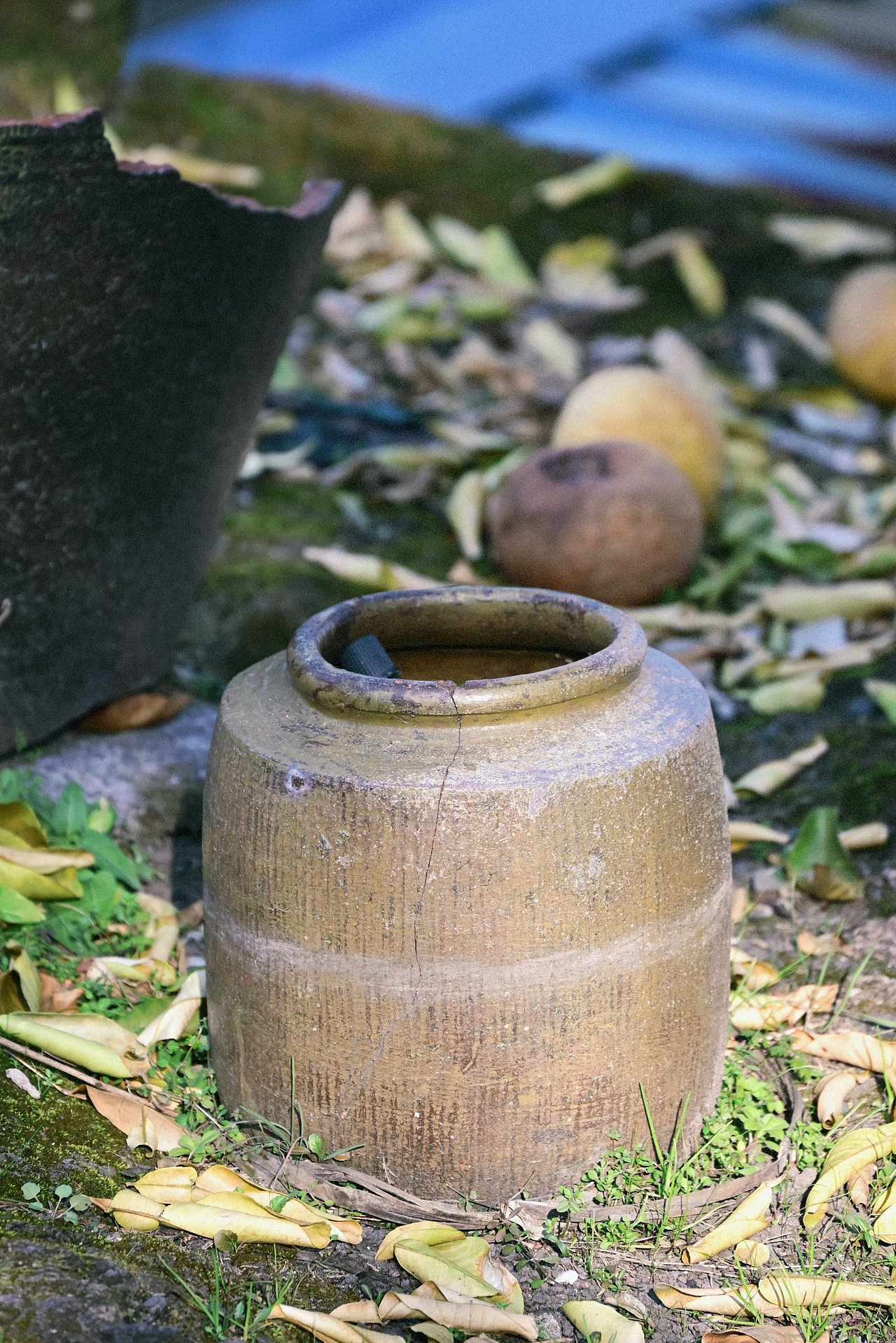 扫街日记丨废墟里开出的花（图ZMzU5NjIxODA0） - 风光摄影 - 站酷设计师程小灰啊原创素材 - 站酷ZCOOL