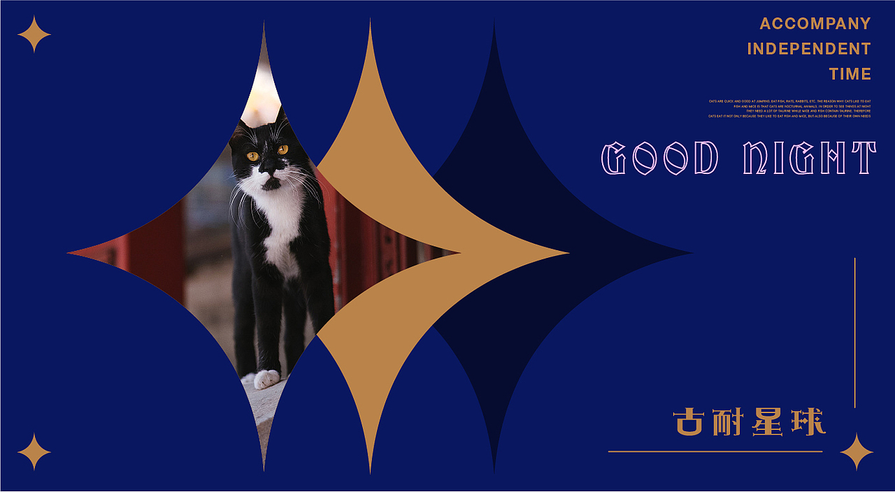 宠物丧葬-古耐星球 品牌设计