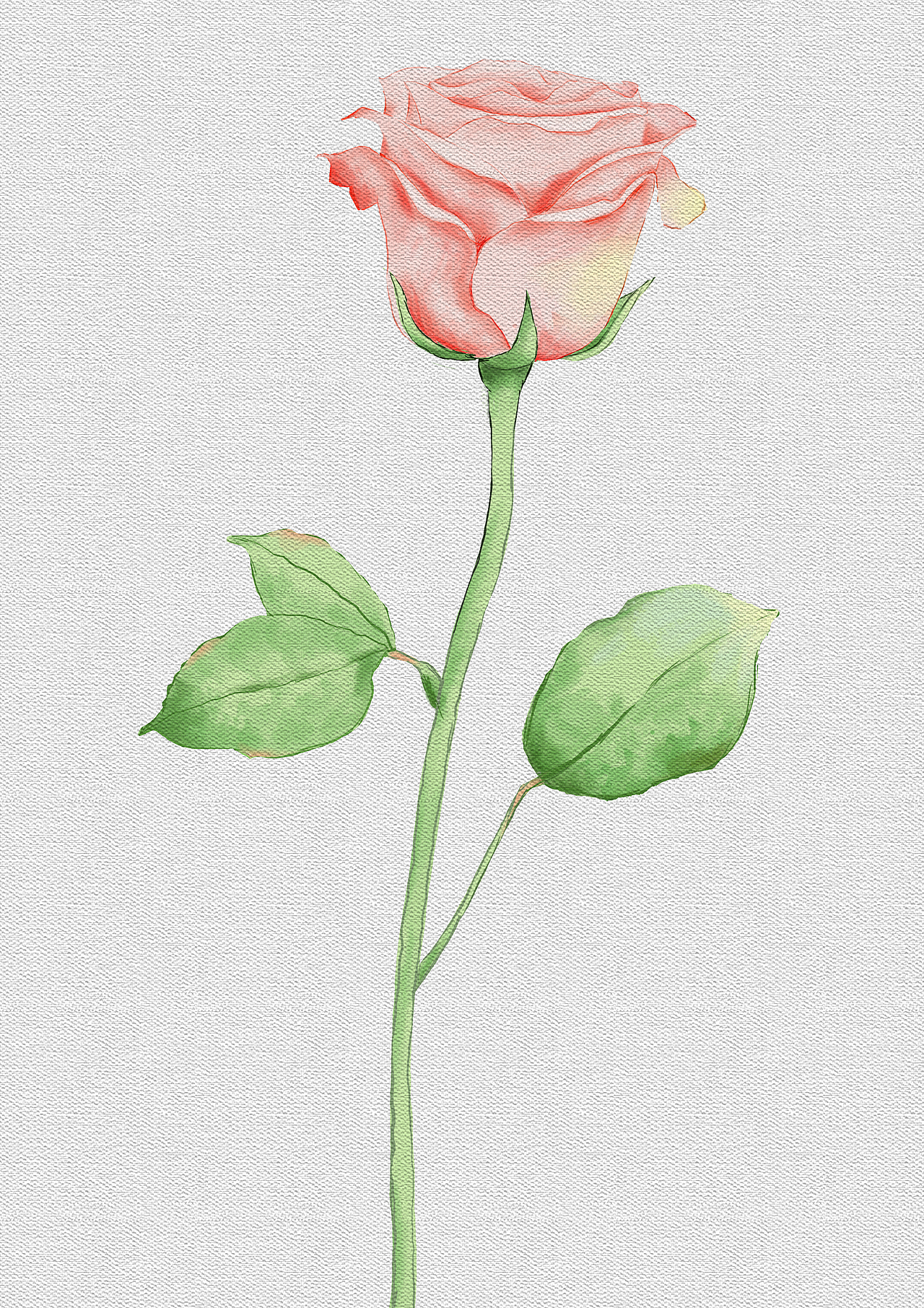花朵练习（图ZMzMxMzAwMzky） - 艺术插画 - 站酷设计师布丁不同原创素材 - 站酷ZCOOL