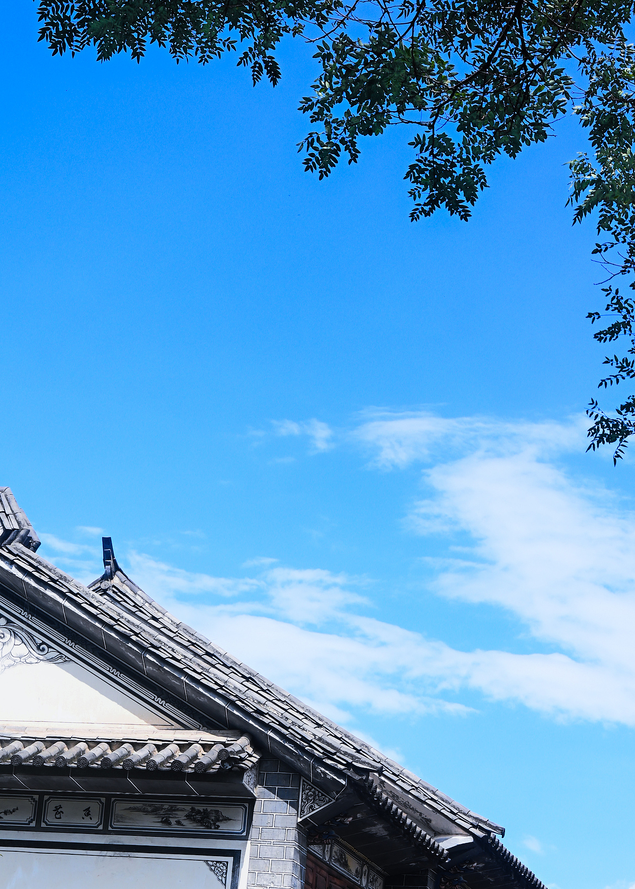 初入摄影,记录生活