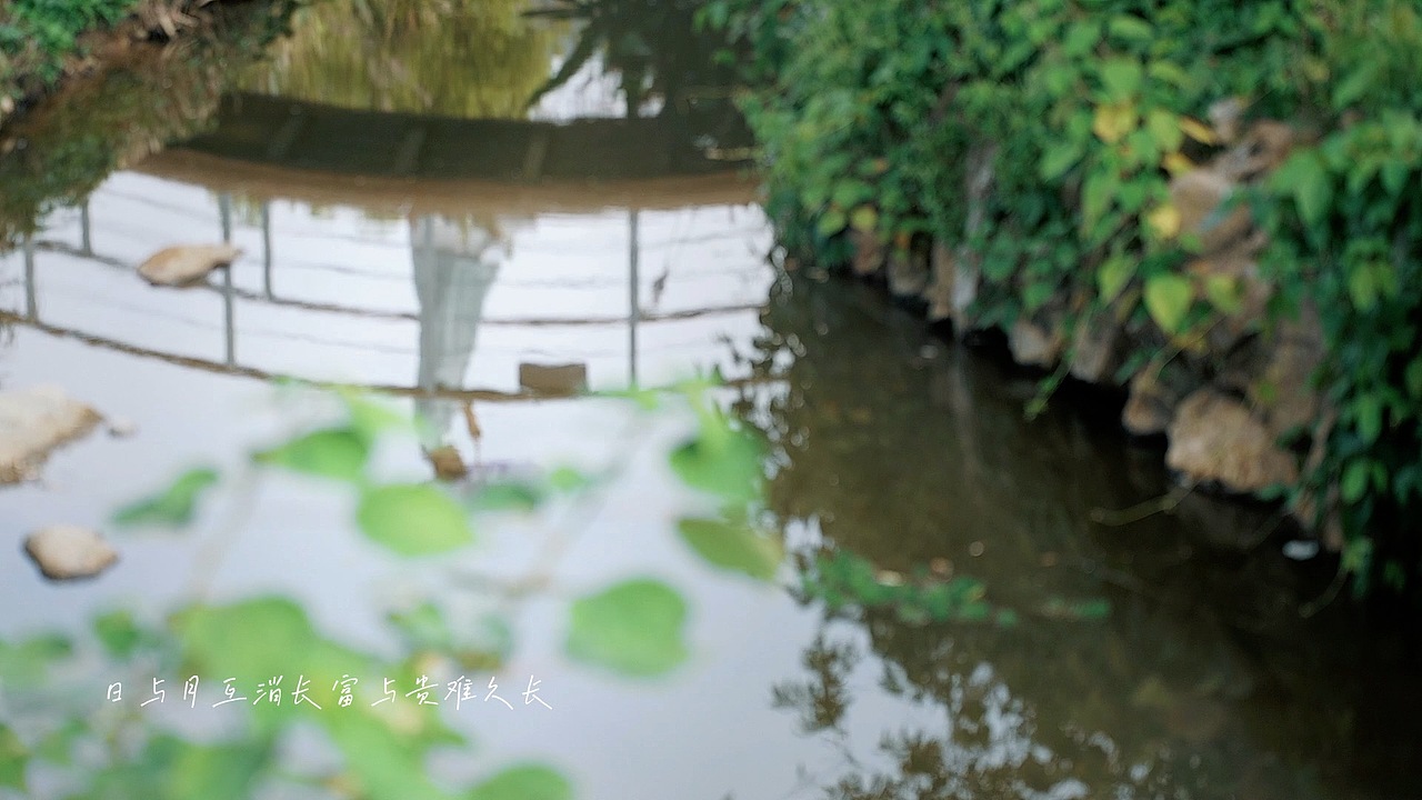 厦门大帽山镜视频号成品