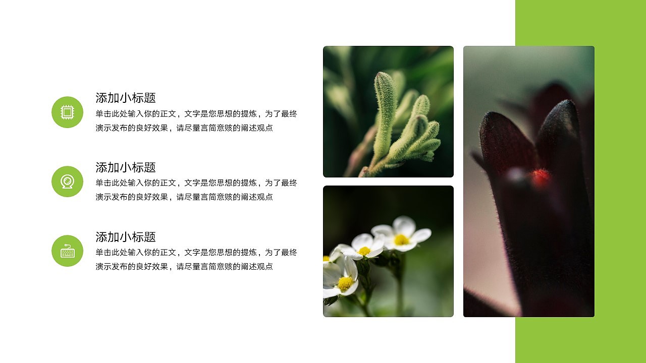 免费PPT模板!春天春季立春春分PPT!