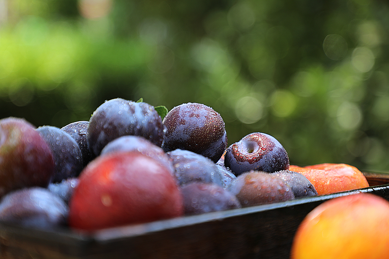 重庆万州寄来的粉黛脆李,模样和口感真不赖