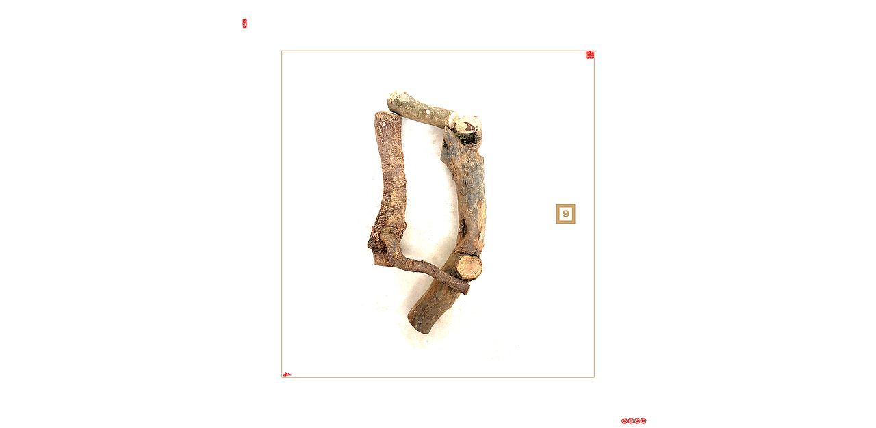 数字的乾坤都藏在顺序组合里