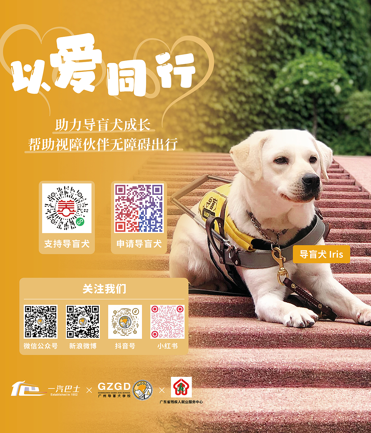 国际导盲犬日 导盲犬主题公交车设计设计