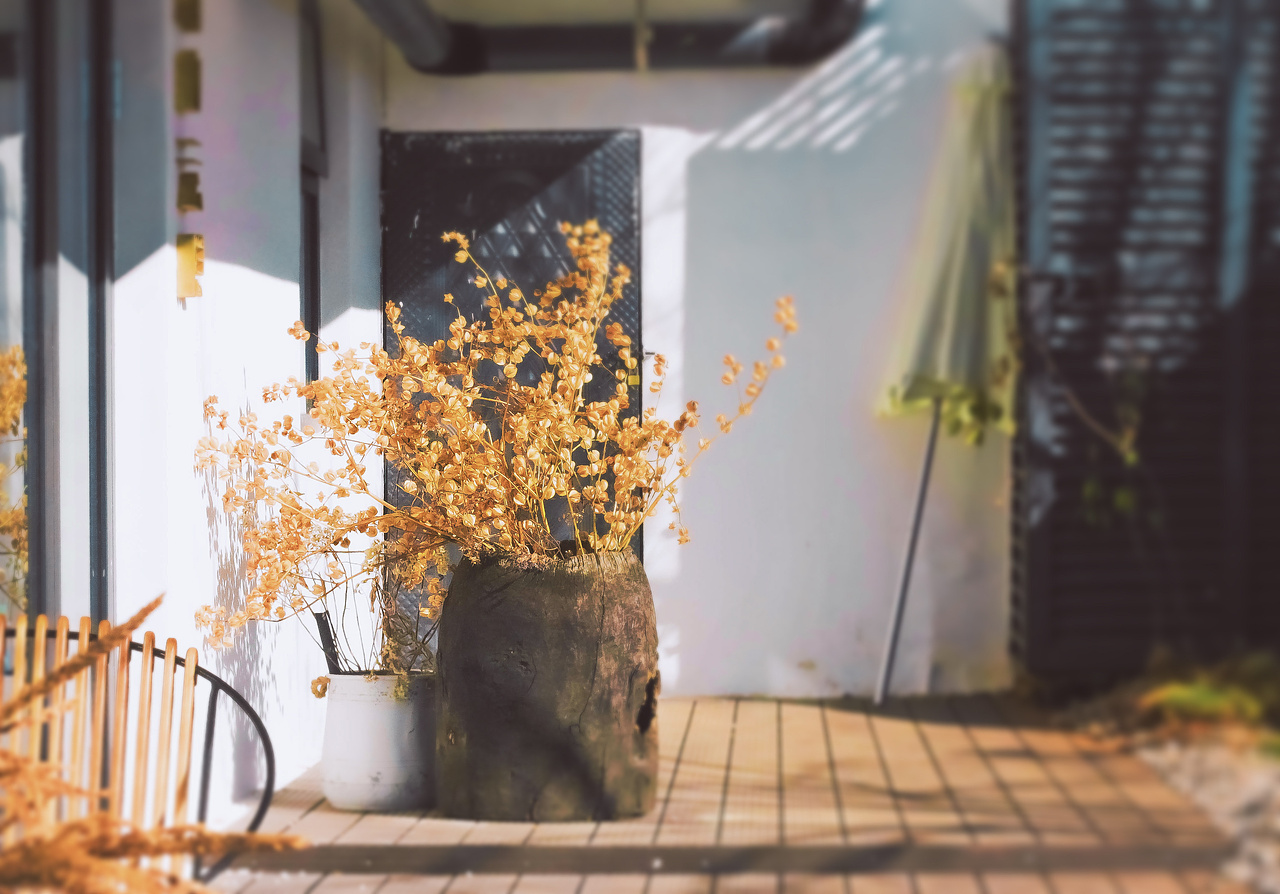 云南-大理旅游随记