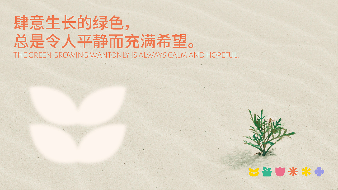 植物品牌| 盆内植物 植物它是温柔、纯粹与美好。