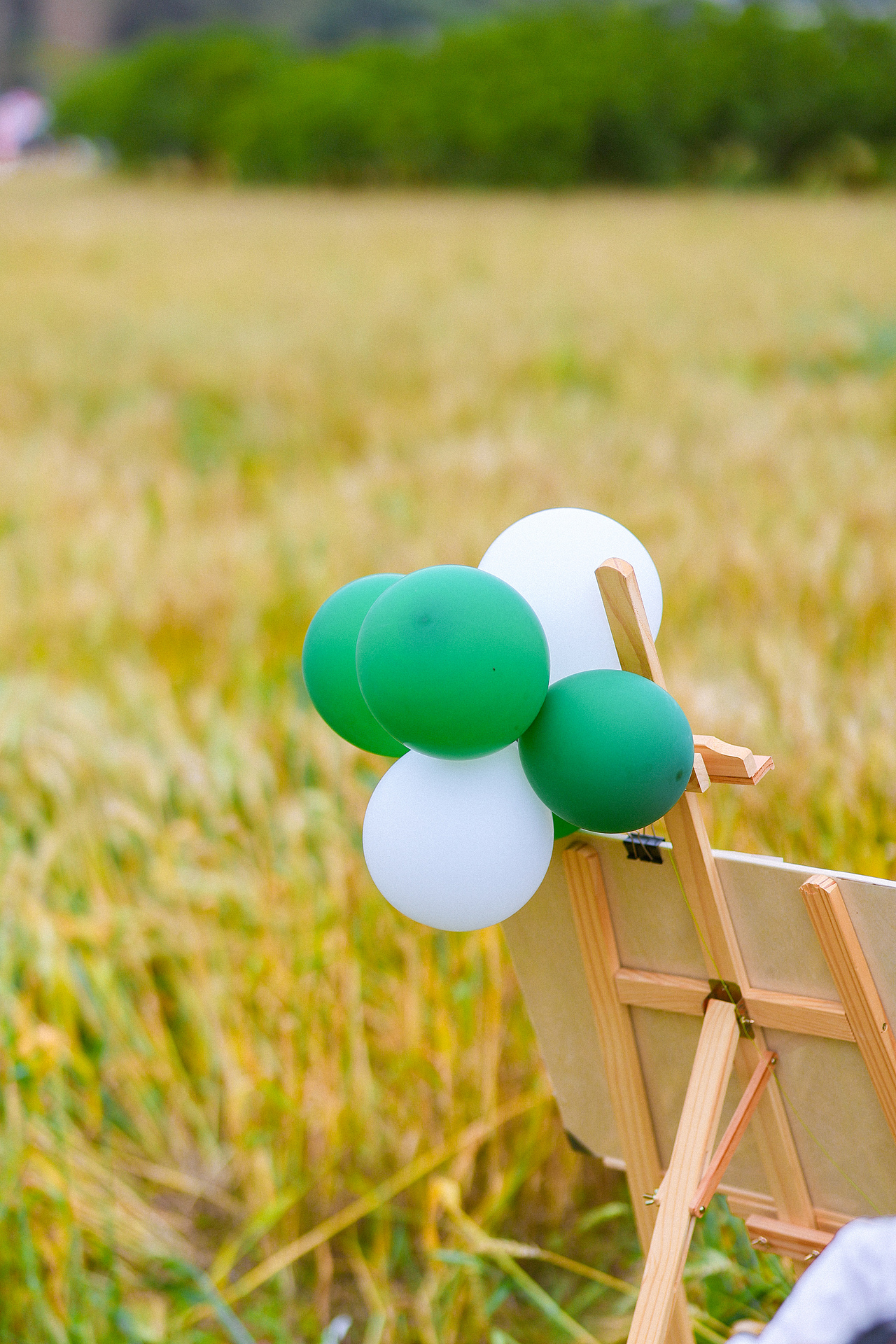 罗洞工匠小镇-金色稻田(上)