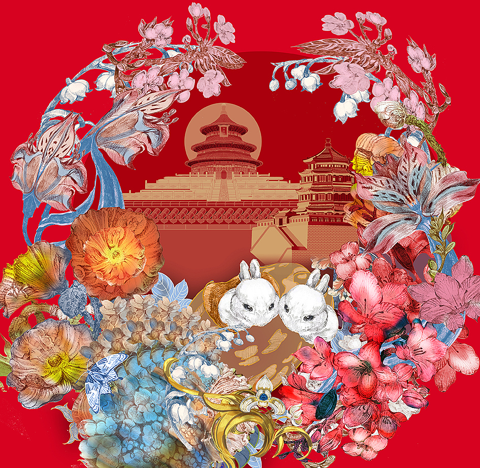 花卉包装之虞美人与小苍兰