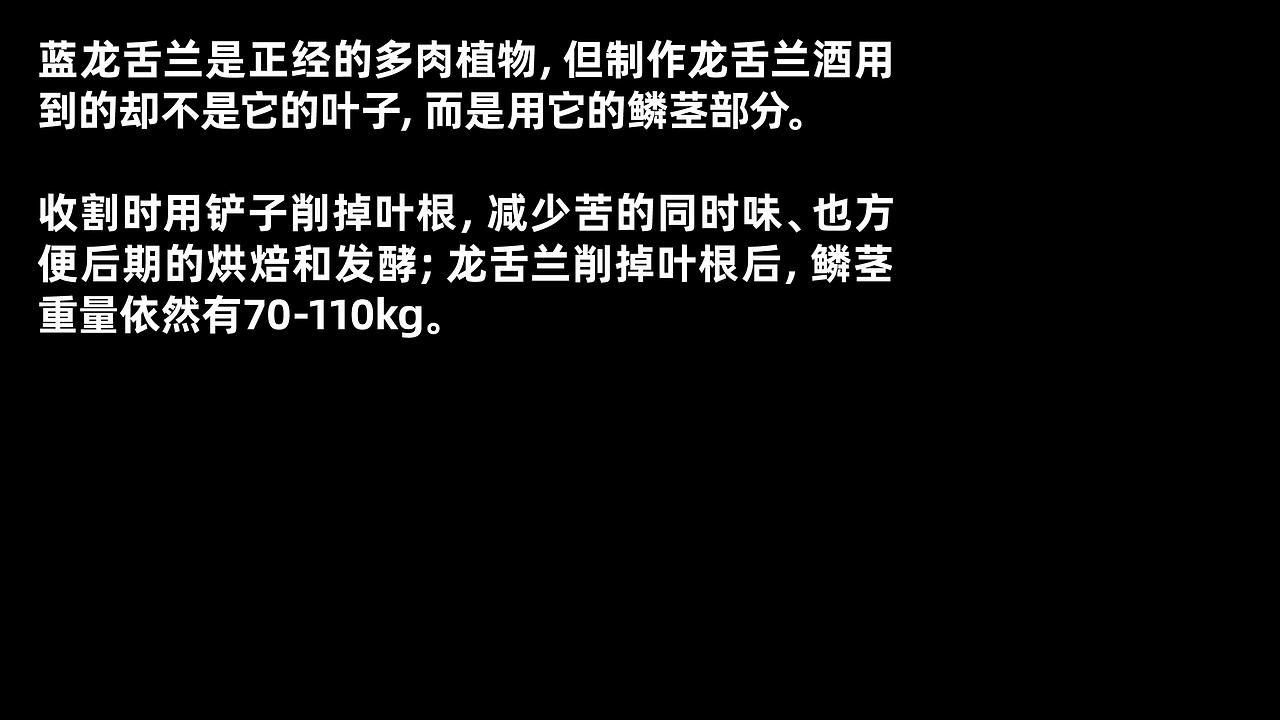 龙舌兰洋酒 包装设计（图ZMzE1OTMzODQw） - 包装 - 站酷设计师柏星龙设计原创素材 - 站酷ZCOOL