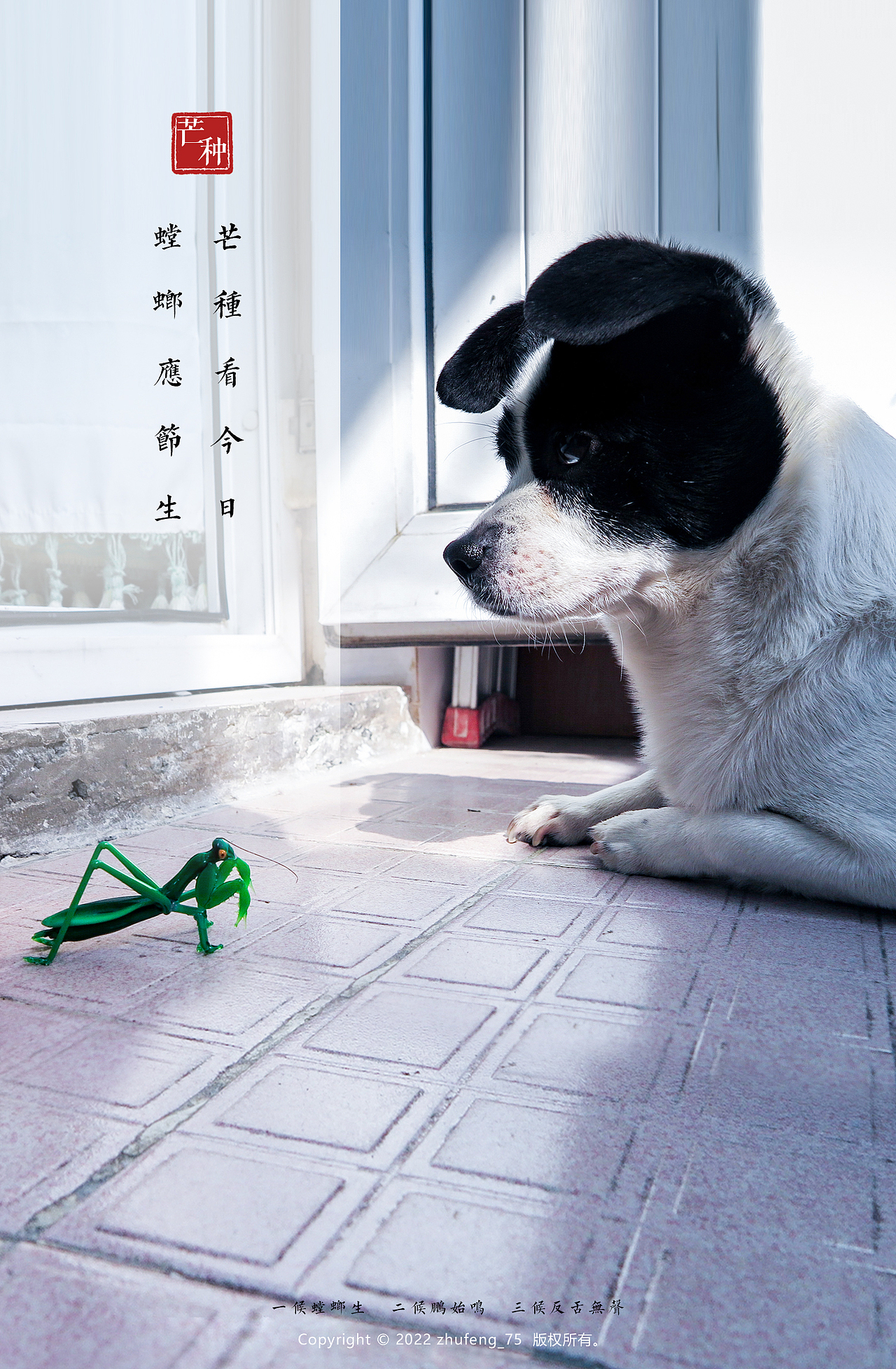 朱峰摄影作品之《二十四节气之家汪四季》(2022竖版)