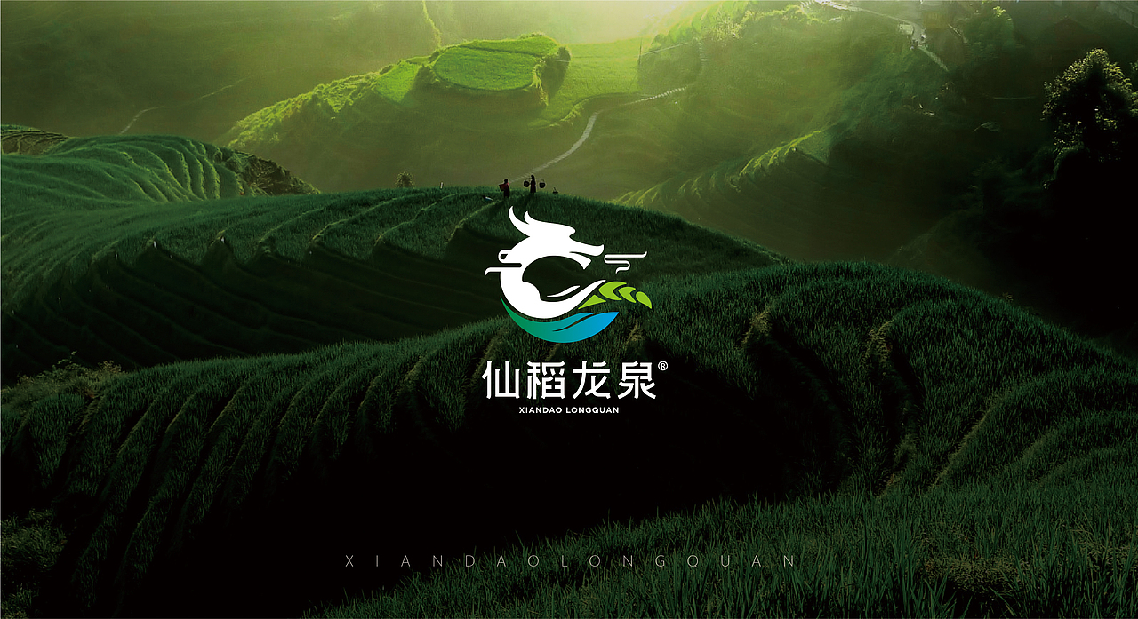 仙稻龙泉-大米品牌VI设计