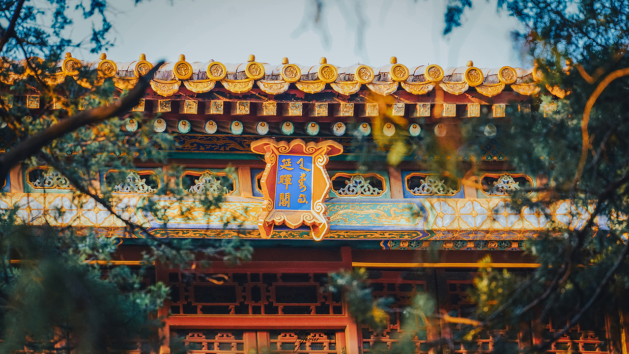 📷·1025-故宫·秋