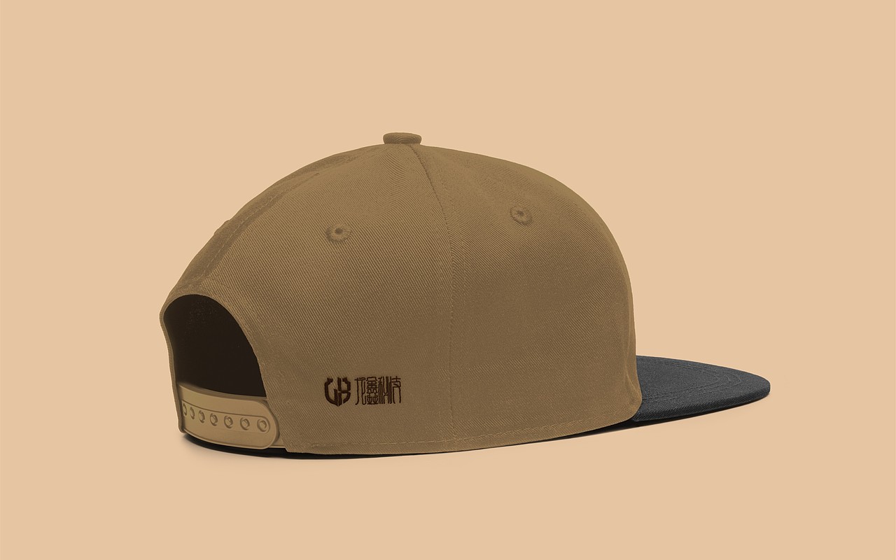 科技品牌设计提案