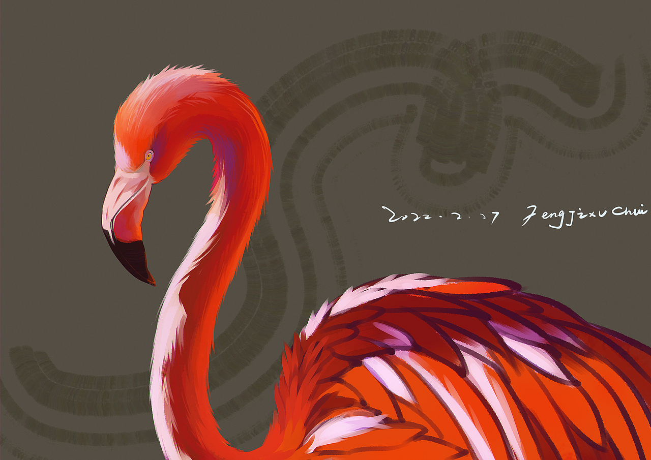 色彩练习 2022.1.1~2022.3.1