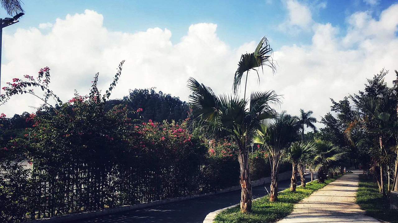 三亚学院（图ZMzE5OTcwMTky） - 环境/建筑摄影 - 站酷设计师风君子8815原创素材 - 站酷ZCOOL