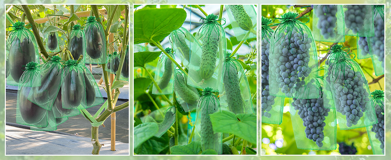 亚马逊主图a+设计-蔬菜水果绿色纱布袋-庄稼种植保护袋