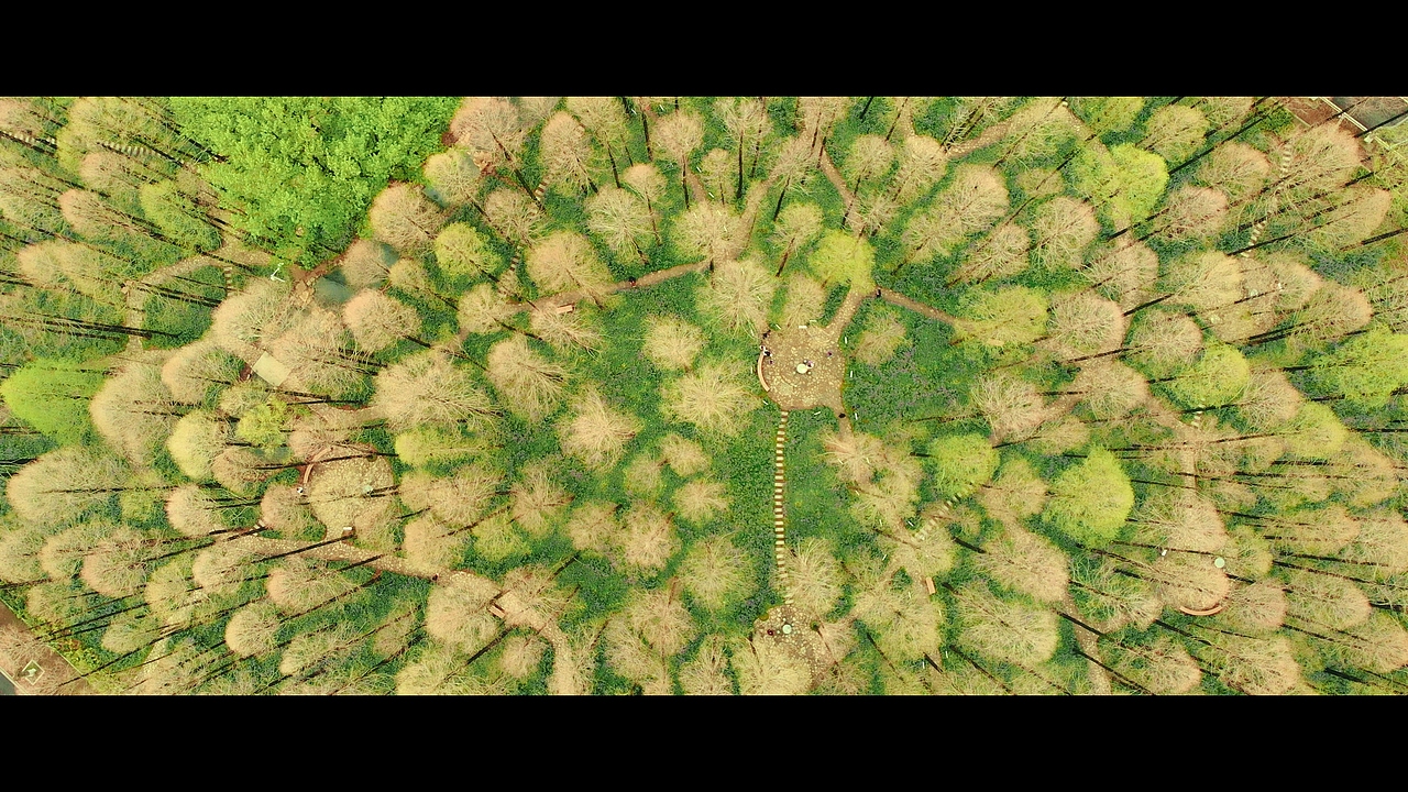 《四季南理》校园人文风光宣传片